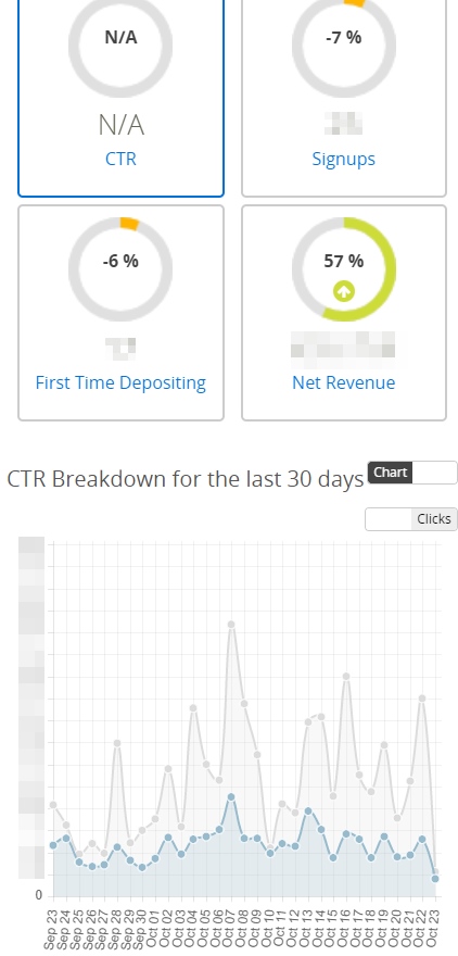 The view of the affiliate dashboard